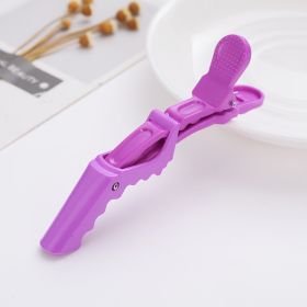 Plastic Positioning Partition Hair Tools Barrettes (Option: Purple-No logo)